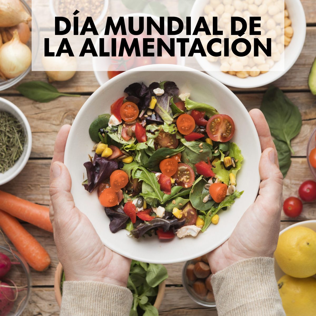 Día Mundial De La Alimentación Sanatorio Del Parque